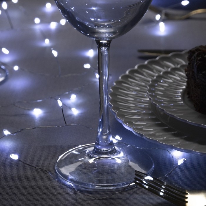 Гирлянда «Мишура» 2 м роса, IP20, серебристая нить, 50 LED, батарейки CR2032х2 (в комплекте), свечение белое Гирлянда «Мишура» 2 м роса, IP20, серебристая нить, 50 LED, батарейки CR2032х2 (в комплекте), свечение белое