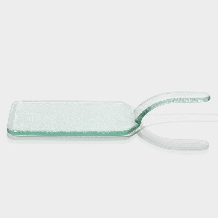 Блюдо стеклянное сервировочное Magistro «Авис», 27×15×3,5 см