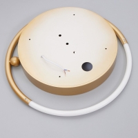 Люстра с ПДУ 2219/1 LED 110Вт диммер золото 48х48х7 см BayerLux