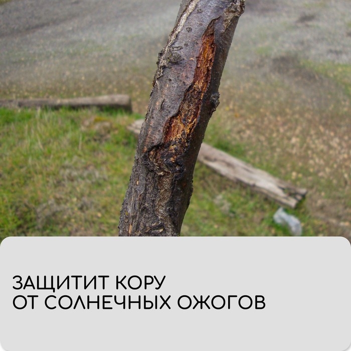 Бинт садовый, 10 × 0,08 м, плотность 60 г/м², спанбонд с УФ-стабилизатором, белый, Greengo, Эконом 20% Бинт садовый, 10 × 0,08 м, плотность 60 г/м², спанбонд с УФ-стабилизатором, белый, Greengo, Эконом 20%