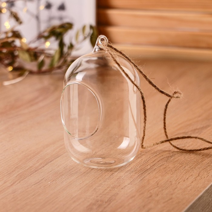 Флорариум "Цилиндр" с верёвкой, d-5х6 см 8х12 см