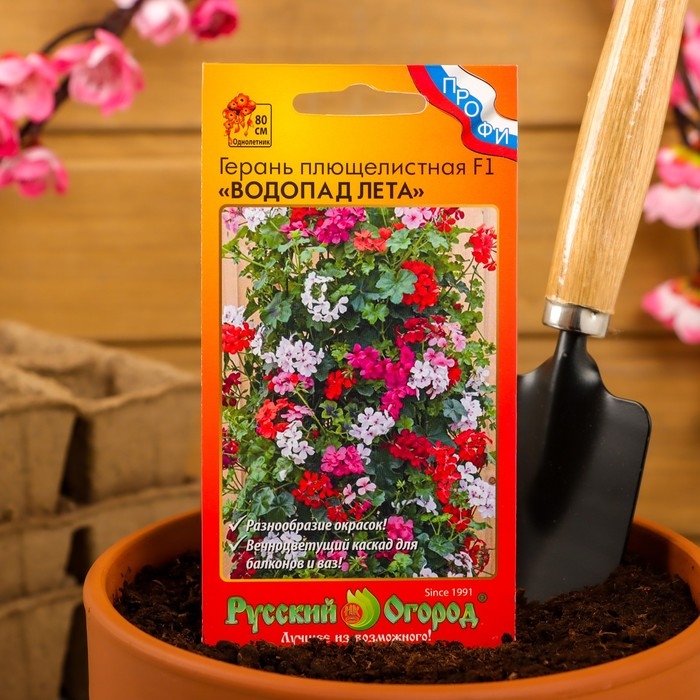 Семена цветов Герань, Семена цветов Герань, "Водопад лета", плющелистная, смесь, 5 шт.
