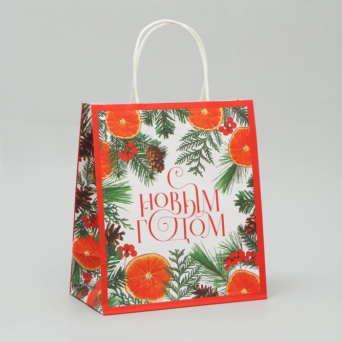 Пакет подарочный новогодний крафтовый «Новогоднее чудо», 22 х 25 х 12 см, Новый год Пакет подарочный новогодний крафтовый «Новогоднее чудо», 22 х 25 х 12 см, Новый год