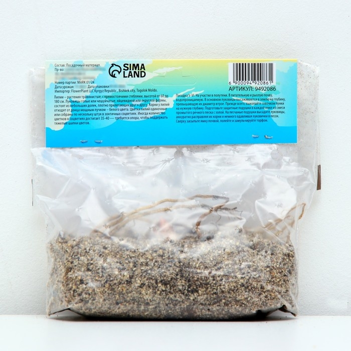 Лилии видовые Лилии видовые "Fusion", р-р 12/14, 2 шт,