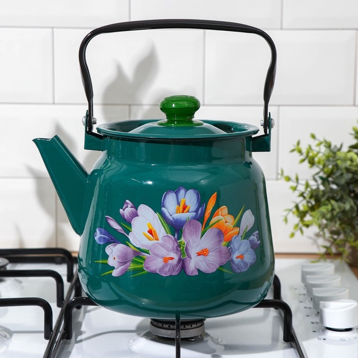 Чайник эмалированный, 3,5 л, с декором МИКС, цвет бирюзовый
