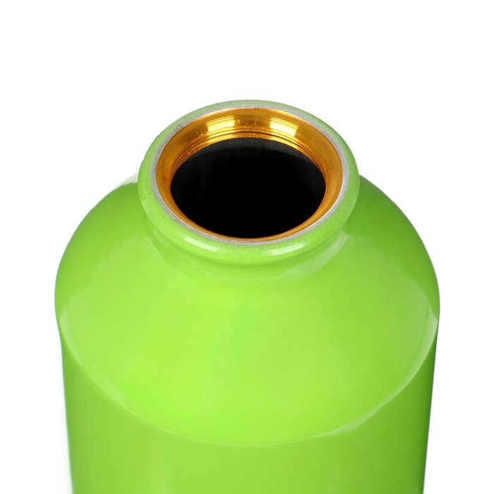 Бутылка для воды, 500 мл,  корпус из алюминия, пластик, зеленая Бутылка для воды, 500 мл,  корпус из алюминия, пластик, зеленая