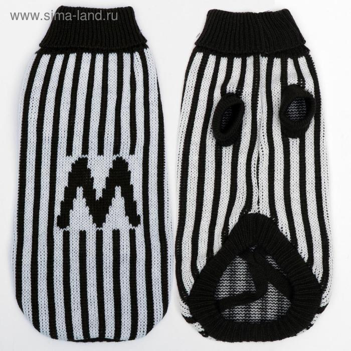 Свитер, размер 12 (ДС 36-51, ОШ 18-33, ОГ 32-47 см), микс расцветок Свитер, размер 12 (ДС 36-51, ОШ 18-33, ОГ 32-47 см), микс расцветок