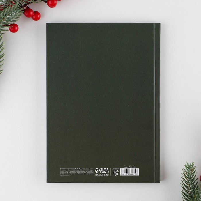 Новый год. Ежедневник классический «Время чудес», 7БЦ А5, 80 листов Новый год. Ежедневник классический «Время чудес», 7БЦ А5, 80 листов