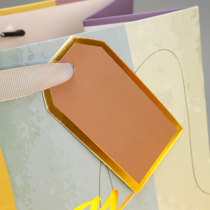 Пакет подарочный ламинированный, упаковка, «Лови момент», 25.4 х 30.5 х 12.7 см Пакет подарочный ламинированный, упаковка, «Лови момент», 25.4 х 30.5 х 12.7 см