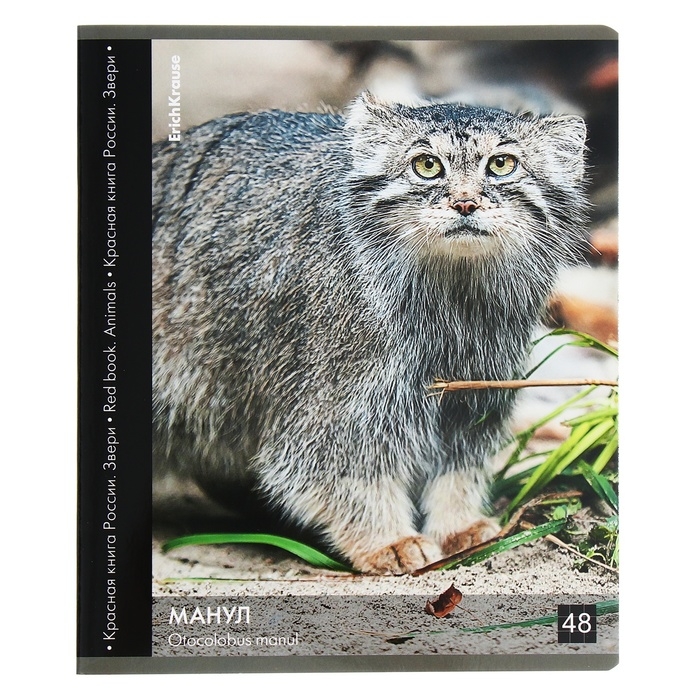 Тетрадь 48 листов в клетку, ErichKrause Тетрадь 48 листов в клетку, ErichKrause "Красная книга России. Звери.", обложка мелованный картон, глянцевая ламинация, блок офсет 100% белизна, МИКС