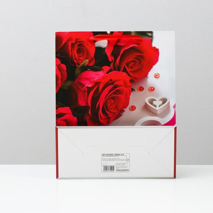 Пакет ламинированный, 26 x 32 x 12 см Пакет ламинированный, 26 x 32 x 12 см