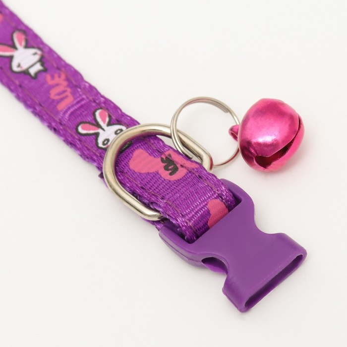 Ошейник двухслойный с фастексом Ошейник двухслойный с фастексом "Зайки", 30 х 1 см, фиолетовый