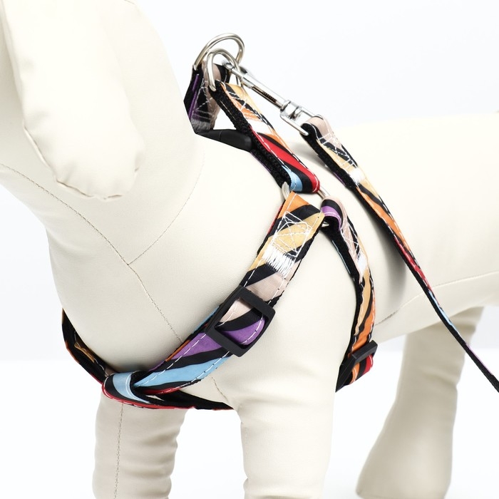 Комплект амуниции двухслойный, размер L, поводок 120 х 2 см, ОШ 31-45 см , ОГ 35-52 см, разноцветный Комплект амуниции двухслойный, размер L, поводок 120 х 2 см, ОШ 31-45 см , ОГ 35-52 см, разноцветный