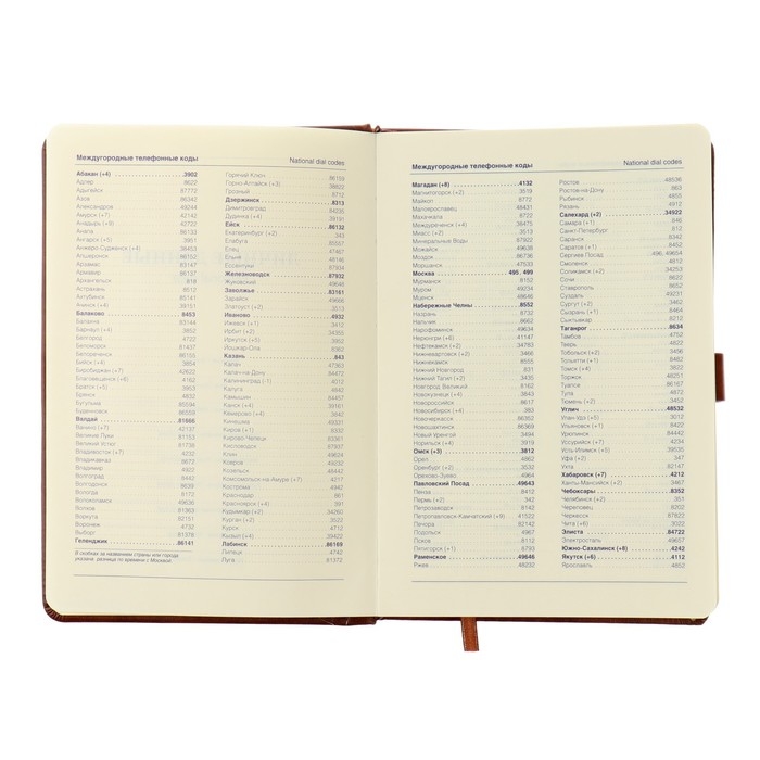 Ежедневник недатированный А5, 116 листов в клетку, с хлястиком, обложка кожзам, МИКС Ежедневник недатированный А5, 116 листов в клетку, с хлястиком, обложка кожзам, МИКС