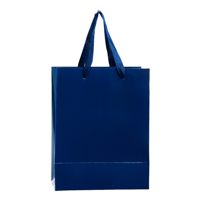 Пакет ламинированный «Синий», 18 х 23 х 10 см