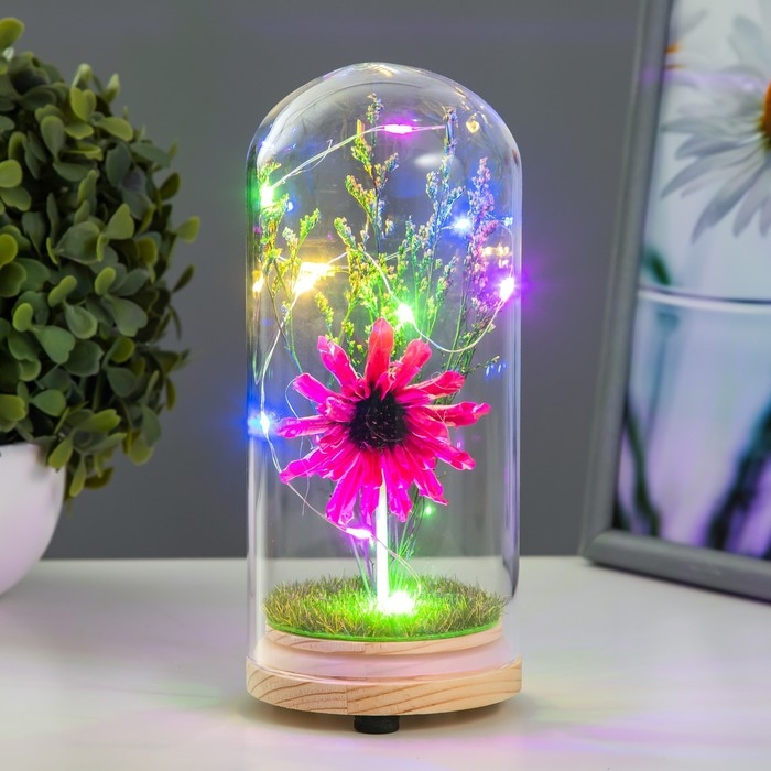 Ночник колба Ночник колба "Цветок" LED от батареек LR44 МИКС 8х8х19 см RISALUX