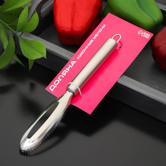 Рыбочистка Доляна «Металлик», 16,5 см, цвет серебристый Рыбочистка Доляна «Металлик», 16,5 см, цвет серебристый