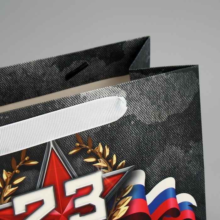 Пакет подарочный ламинированный вертикальный, упаковка, «23 февраля», MS 23 х 18 х 10 см Пакет подарочный ламинированный вертикальный, упаковка, «23 февраля», MS 23 х 18 х 10 см