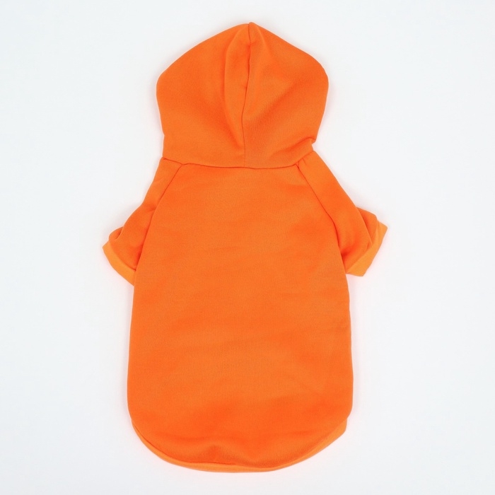 Толстовка Толстовка "Любимая морковка", размер M (ДС 30, ОГ 44 см)