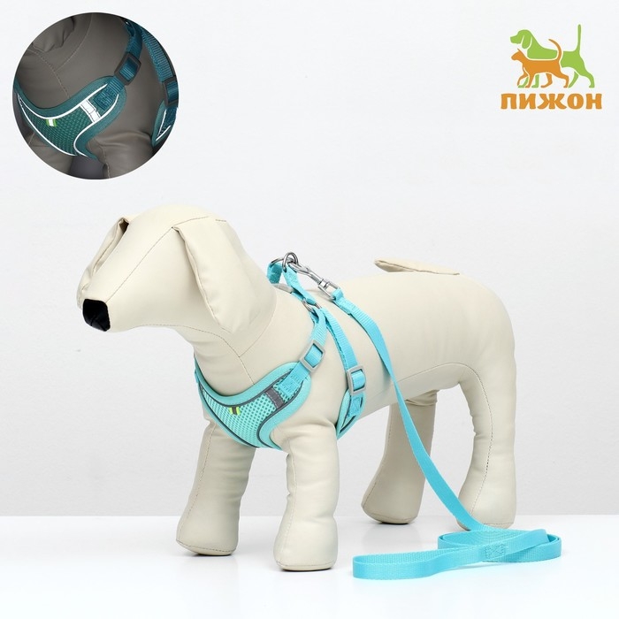 Комплект с мягкой шлейкой, быстросъемный, L, поводок 140 см, ОШ 49-56 см, ОГ 56-68 см, бирюзовый Комплект с мягкой шлейкой, быстросъемный, L, поводок 140 см, ОШ 49-56 см, ОГ 56-68 см, бирюзовый