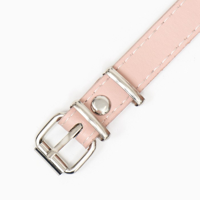 Намордник пластиковый №6 с ошейником из эко кожи ОМ 35 см ДН 12 см ОШ 52-67 см Намордник пластиковый №6 с ошейником из эко кожи ОМ 35 см ДН 12 см ОШ 52-67 см