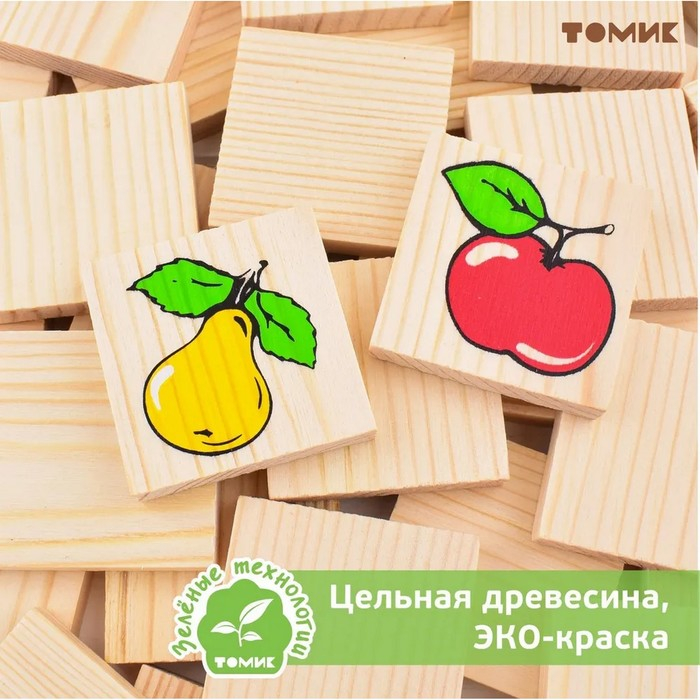 Лото «Растительный мир» Лото «Растительный мир»