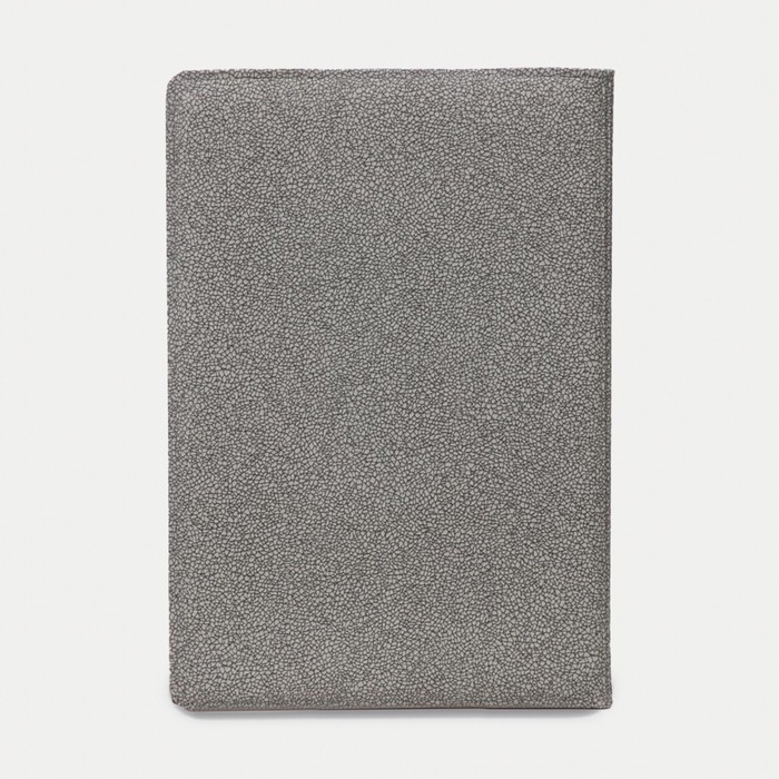 Обложка для паспорта, цвет серый Обложка для паспорта, цвет серый