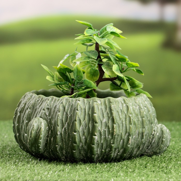 Кашпо - бонсай Кашпо - бонсай "Кактус" 19х9см