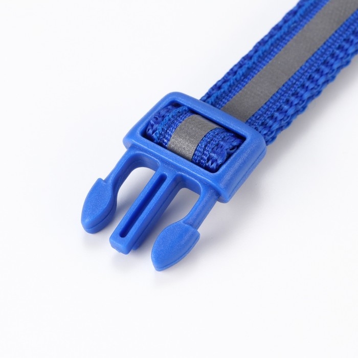 Ошейник двухслойный с фастексом и светоотражающей полосой, 30 х1,5 см, синий Ошейник двухслойный с фастексом и светоотражающей полосой, 30 х1,5 см, синий