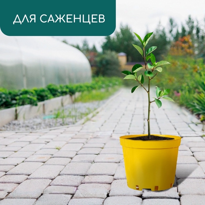 Горшок для рассады, 5 л, d = 22 см, h = 18 см, пластик, жёлтый, Greengo Горшок для рассады, 5 л, d = 22 см, h = 18 см, пластик, жёлтый, Greengo