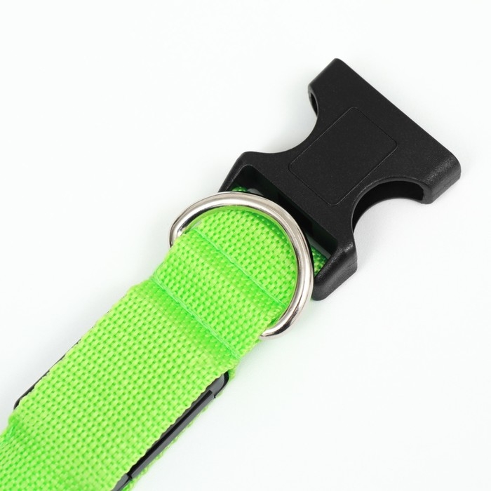 Ошейник с подсветкой Двойная полоса размер XL, ОШ 52-60 х 2,5 см, 3 режима свечения зелёный