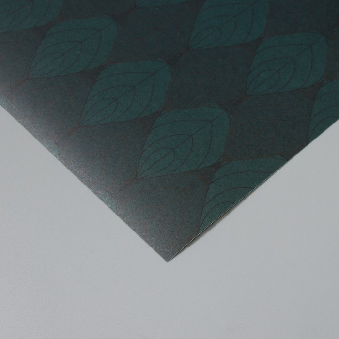 Бумага для скрапбукинга Бумага для скрапбукинга "Листочки" плотность 180 гр набор 5 шт 30,5х32 см