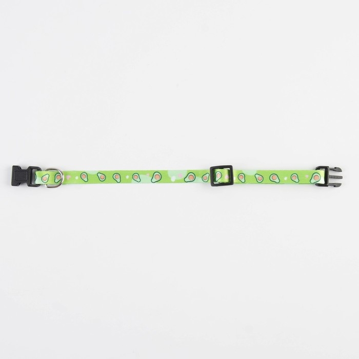 Ошейник для собак и кошек с фастексом «Авокадо», 30х1 см Ошейник для собак и кошек с фастексом «Авокадо», 30х1 см