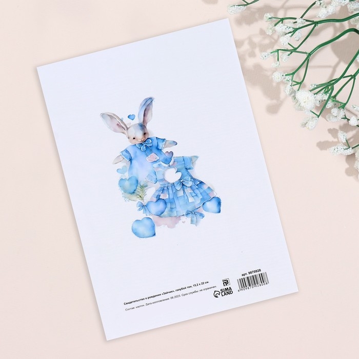 Папка под свидетельство о рождении Папка под свидетельство о рождении "Зайчик" голубой тон, А5