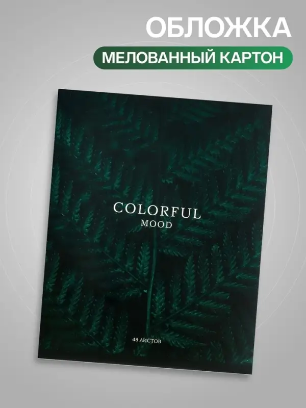 Тетрадь 48 листов в клетку, Calligrata &laquo;Изумруд&raquo;, МИКС