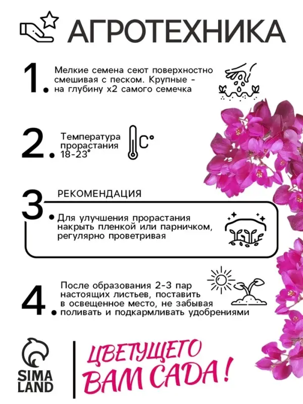 Семена цветов Антигонон &laquo;Лиана любви&raquo;, 5 шт., многолетник, &laquo;Гавриш&raquo;