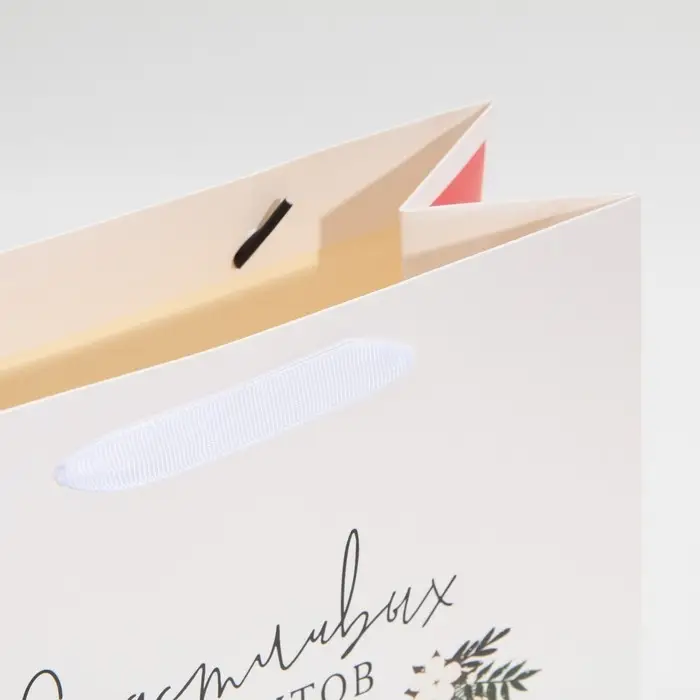 Пакет подарочный новогодний ламинированный «Счастливых моментов», ML 23 х 27 х 11.5 см