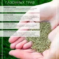 Газонная травосмесь &laquo;Гринкипер&raquo; &laquo;Игровая&raquo;, 5 кг