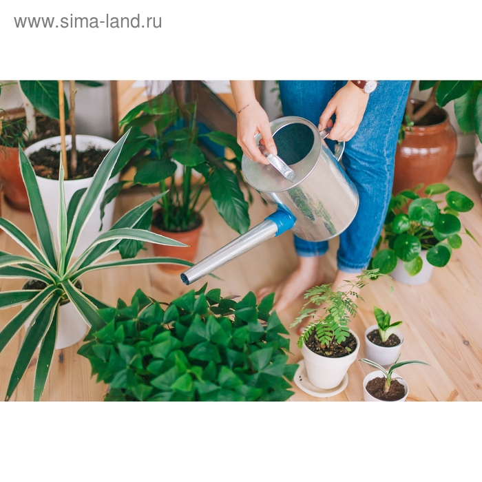 Лейка, 5 л, с рассеивателем, оцинкованная, без рисунка, носик d = 25 мм Лейка, 5 л, с рассеивателем, оцинкованная, без рисунка, носик d = 25 мм