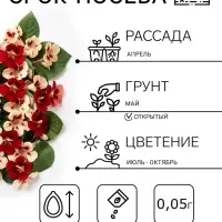 Семена цветов Настурция низкорослая &laquo;Клубника со сливками&raquo;, 1 г, &laquo;ПОИСК&raquo;