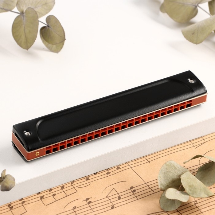 Губная гармошка Music Life T22K тремоло, с футляром Губная гармошка Music Life T22K тремоло, с футляром