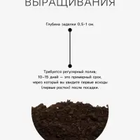 Семена Трава для кошек, 10 г, &laquo;Рецепты дедушки Никиты&raquo;