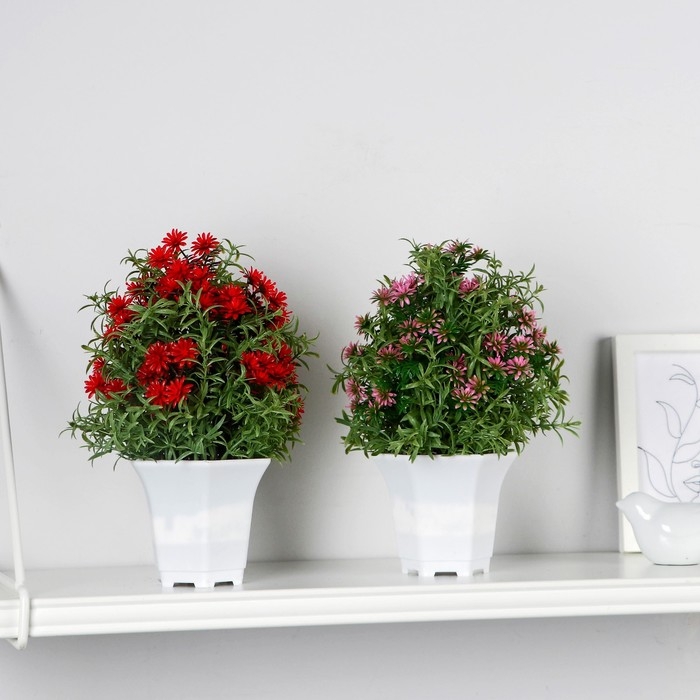 Бонсай в горшке Бонсай в горшке "Монарда" 11х22 см, микс