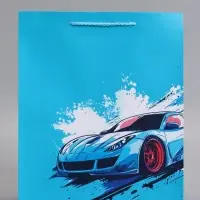 Пакет подарочный "Чёткий акцент" ламинированный 26 х 12 х 32 см