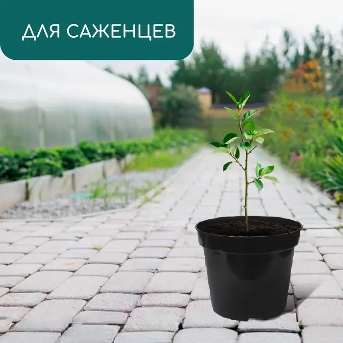 Горшок для рассады, 3 л, d=19 см, h=15 см, пластик, чёрный, Greengo Горшок для рассады, 3 л, d=19 см, h=15 см, пластик, чёрный, Greengo