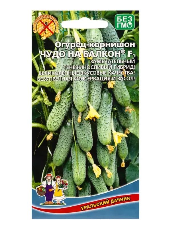 Семена Огурец Чудо на балкон F1 /в реестре Л95/ (УД) Е/П , Е/П,  6 шт.