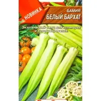 Семена Бамия Белый бархат Семторг, Ц/П СТ,8 шт. Семена Бамия Белый бархат Семторг, Ц/П СТ,8 шт.