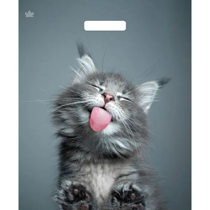 Пакет «Кот», полиэтиленовый, с вырубной ручкой, 38×45 см, 60 мкм Пакет «Кот», полиэтиленовый, с вырубной ручкой, 38×45 см, 60 мкм