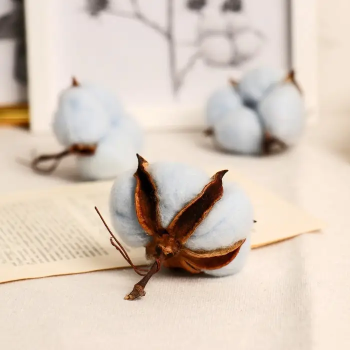 Декор сухоцвет &laquo;Хлопок&raquo;, d=5 см, 5 см, голубой