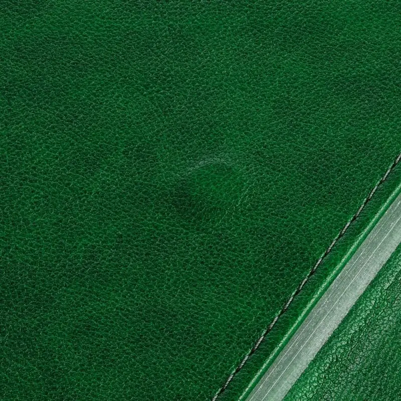 Ежедневник Flap на заказ, недатированный, зеленый Ежедневник Flap на заказ, недатированный, зеленый